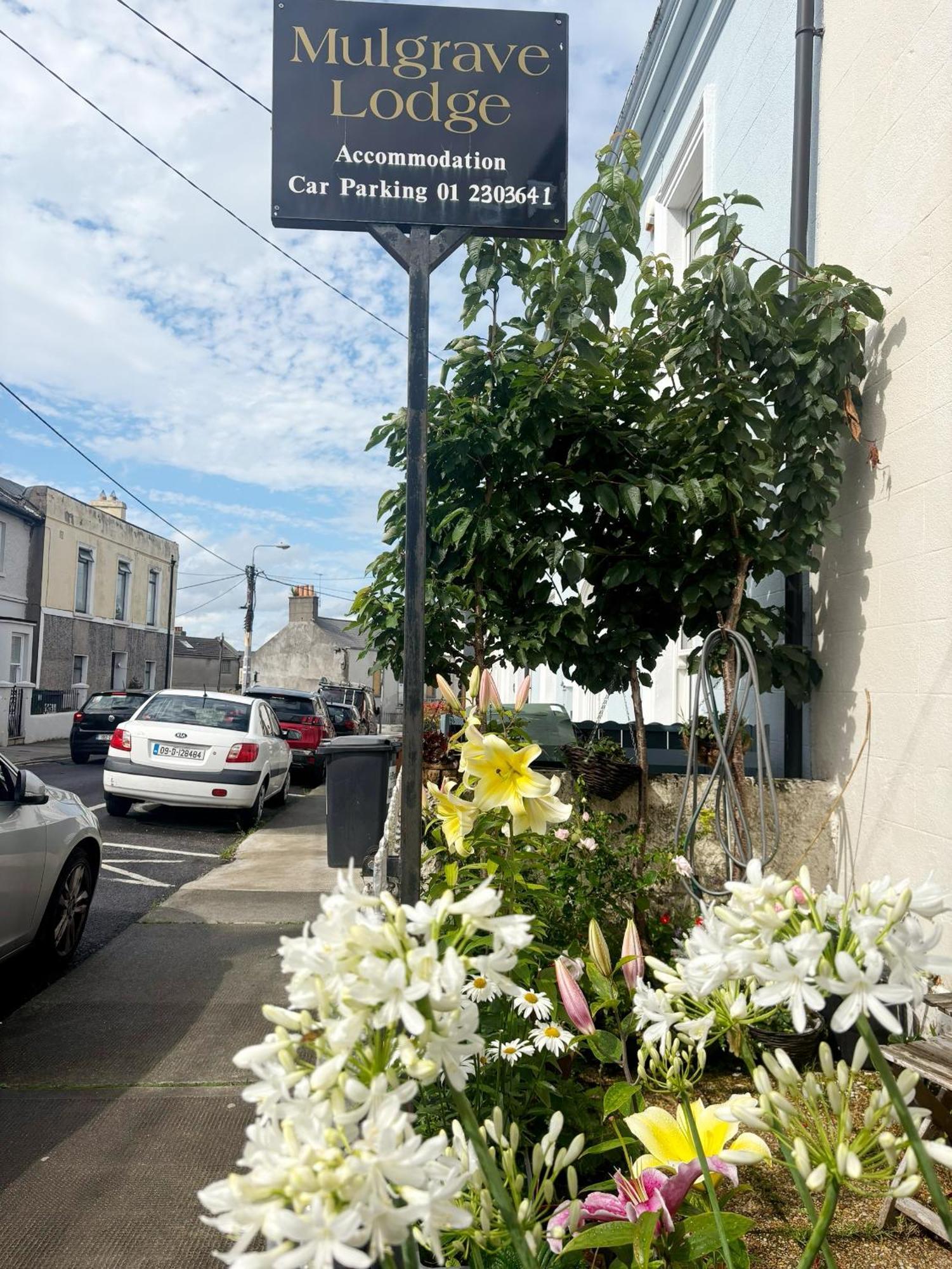 Mulgrave Lodge Dún Laoghaire Eksteriør billede